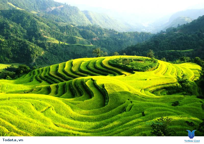 Hoàng Su phì Hà Giang 2